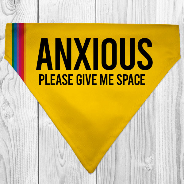 anxious dog dog bandana