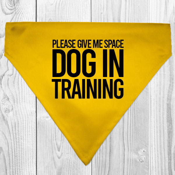 dog in training dog bandana